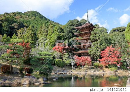 紅葉が美しい五重塔 紅葉が美しい五重塔 141321952