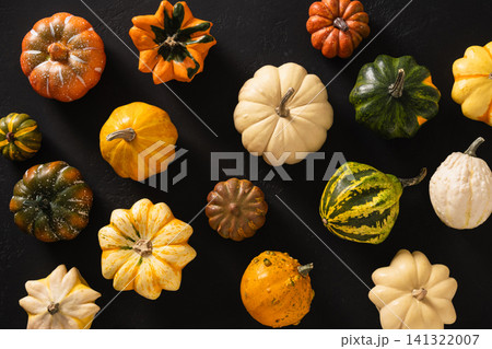 Assorted decorative pumpkin on black background 141322007