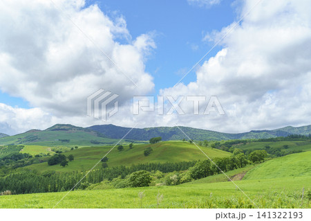北海道上士幌町ナイタイ高原牧場 新緑が広がる十勝の絶景牧場風景 北海道上士幌町ナイタイ高原牧場 新緑が広がる十勝の絶景牧場風景 141322193