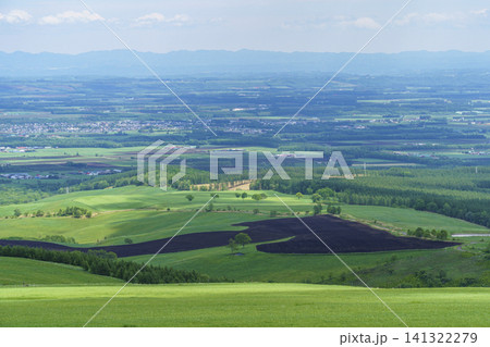 北海道上士幌町ナイタイ高原牧場から望む十勝平野 夏の大パノラマ絶景 北海道上士幌町ナイタイ高原牧場から望む十勝平野 夏の大パノラマ絶景 141322279