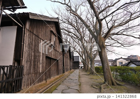山居倉庫のケヤキ並木(山形県酒田市) 山居倉庫のケヤキ並木(山形県酒田市) 141322868