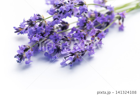 Lavender flowers creating relaxing aromatherapy herbal concept 141324108
