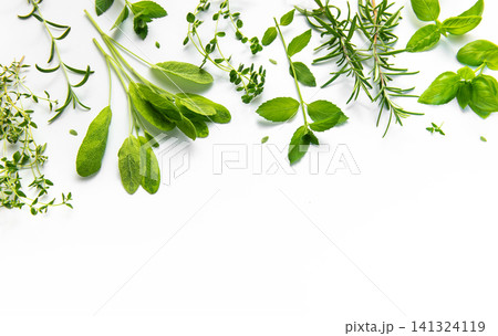 Aromatic fresh cooking herbs creating a white background border Aromatic fresh cooking herbs creating a white background border 141324119
