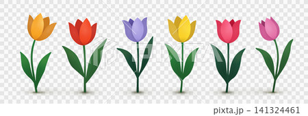 Set of stylized colored tulips with a shadow on a transparent background. 141324461