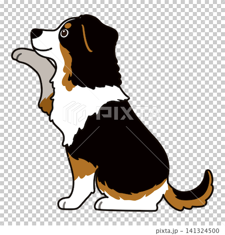 手繪插圖,描繪了一隻黑色澳洲牧羊犬伸出爪子的輪廓。 手繪插圖,描繪了一隻黑色澳洲牧羊犬伸出爪子的輪廓。 141324500
