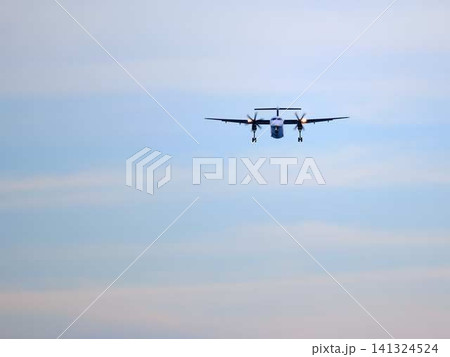 飛行機の着陸 飛行機の着陸 141324524