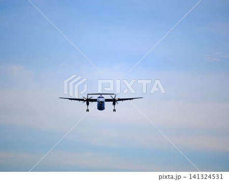 飛行機の着陸 飛行機の着陸 141324531