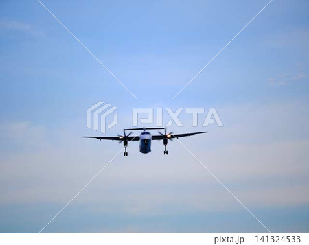 飛行機の着陸 飛行機の着陸 141324533