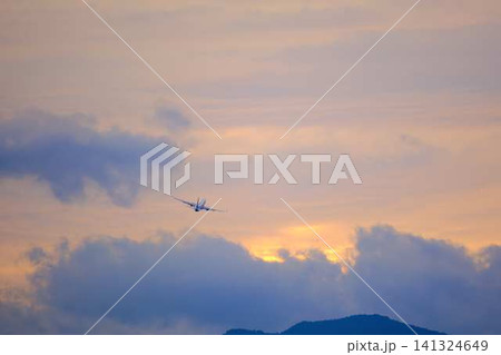 飛行機の着陸 飛行機の着陸 141324649