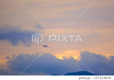 飛行機の着陸 飛行機の着陸 141324650