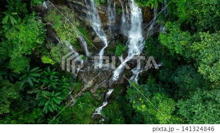Aerial view of deep tropical rainforest with waterfall surrounded by lush tropical forest and towering cliffs streams of water into deep canyon, Lush green trees in forest with natural stream. Aerial view of deep tropical rainforest with waterfall surrounded by lush tropical forest and towering cliffs streams of water into deep canyon, Lush green trees in forest with natural stream. 141324846