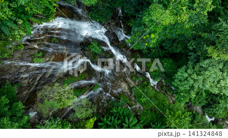 Aerial view of deep tropical rainforest with waterfall surrounded by lush tropical forest and towering cliffs streams of water into deep canyon, Lush green trees in forest with natural stream. Aerial view of deep tropical rainforest with waterfall surrounded by lush tropical forest and towering cliffs streams of water into deep canyon, Lush green trees in forest with natural stream. 141324848