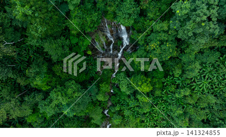 Aerial view of deep tropical rainforest with waterfall surrounded by lush tropical forest and towering cliffs streams of water into deep canyon, Lush green trees in forest with natural stream. Aerial view of deep tropical rainforest with waterfall surrounded by lush tropical forest and towering cliffs streams of water into deep canyon, Lush green trees in forest with natural stream. 141324855