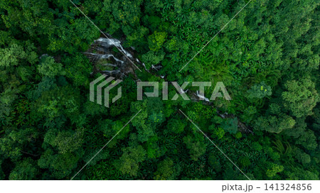 Aerial view of deep tropical rainforest with waterfall surrounded by lush tropical forest and towering cliffs streams of water into deep canyon, Lush green trees in forest with natural stream. Aerial view of deep tropical rainforest with waterfall surrounded by lush tropical forest and towering cliffs streams of water into deep canyon, Lush green trees in forest with natural stream. 141324856