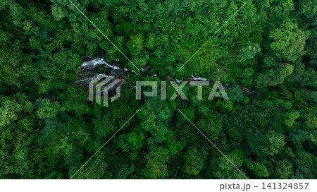 Aerial view of deep tropical rainforest with waterfall surrounded by lush tropical forest and towering cliffs streams of water into deep canyon, Lush green trees in forest with natural stream. Aerial view of deep tropical rainforest with waterfall surrounded by lush tropical forest and towering cliffs streams of water into deep canyon, Lush green trees in forest with natural stream. 141324857