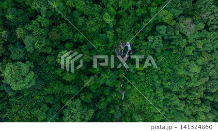 Aerial view of deep tropical rainforest with waterfall surrounded by lush tropical forest and towering cliffs streams of water into deep canyon, Lush green trees in forest with natural stream. Aerial view of deep tropical rainforest with waterfall surrounded by lush tropical forest and towering cliffs streams of water into deep canyon, Lush green trees in forest with natural stream. 141324860