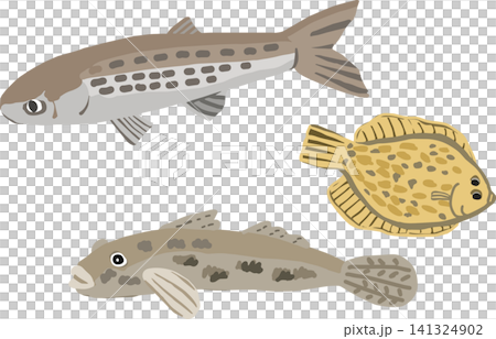 一組描繪河口魚類的插圖。 一組描繪河口魚類的插圖。 141324902