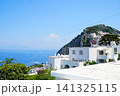 リゾート地　カプリ島でのバカンス 141325115