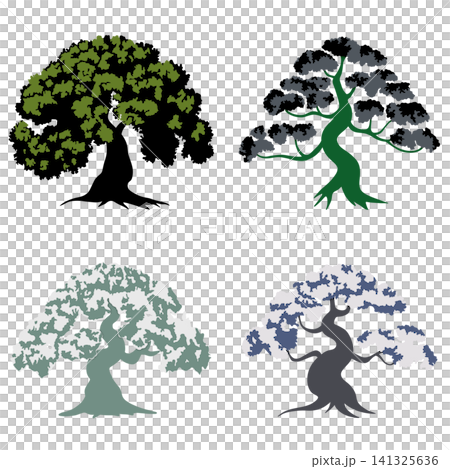 Educational botany diagram demonstrating diverse tree silhouettes and morphology. Visualizing perennial plant canopy variations and trunk structures for forestry science lesson Educational botany diagram demonstrating diverse tree silhouettes and morphology. Visualizing perennial plant canopy variations and trunk structures for forestry science lesson 141325636