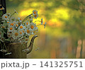 Retro brass teapot with daisies against the backdrop of a forest lake 141325751