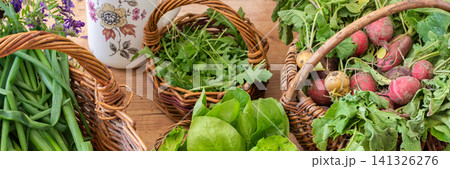 Baskets filled with freshly picked organic vegetables sit on a wooden table. Green onions, lettuce, and radishes are among the harvest from a local farm, banner Baskets filled with freshly picked organic vegetables sit on a wooden table. Green onions, lettuce, and radishes are among the harvest from a local farm, banner 141326276