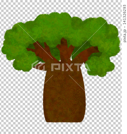 green baobab tree green baobab tree 141326293
