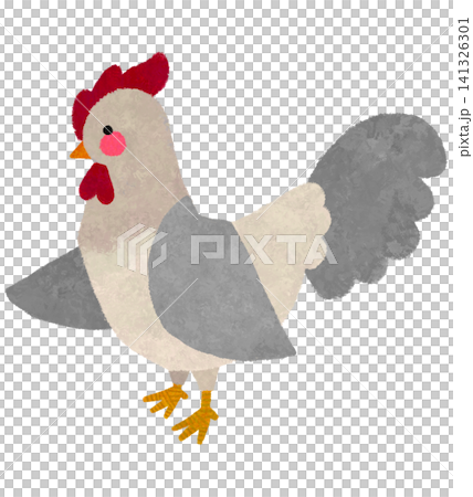 Hand drawn rooster 141326301