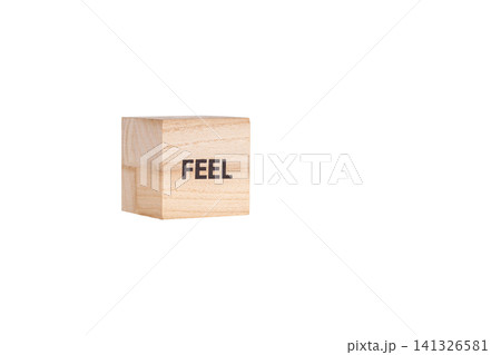 wooden cubes with the inscription Feel on a white isolated background wooden cubes with the inscription Feel on a white isolated background 141326581