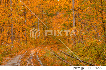 Autumn forest through which the tram travels, Kyiv and rails 141326589