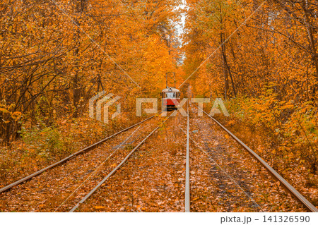Autumn forest through which the tram travels, Kyiv and rails Autumn forest through which the tram travels, Kyiv and rails 141326590