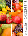 Collage of Fresh Organic Fruits and Vegetables Close Up Bright Composition of Healthy Summer Produce and Harvesting Crop 141326848