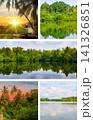Collage of Tropical River Landscapes and Lush Jungle Nature Scenes Scenic Tropical Waterways with Palm Trees and Mirror Water Reflection 141326851