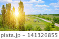 Scenic Countryside Road with Tall Poplar Trees at Sunset Beautiful Summer Landscape with Asphalt Highway and Green Fields 141326855