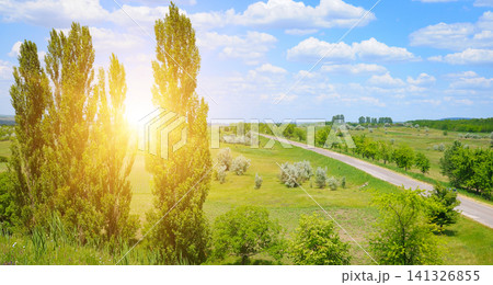 Scenic Countryside Road with Tall Poplar Trees at Sunset Beautiful Summer Landscape with Asphalt Highway and Green Fields Scenic Countryside Road with Tall Poplar Trees at Sunset Beautiful Summer Landscape with Asphalt Highway and Green Fields 141326855