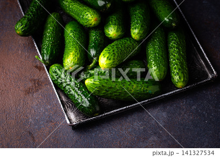 Raw fresh cucumber on dark background 141327534