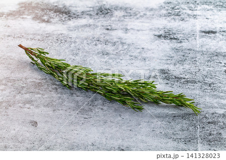 Fresh rosemary sprig on textured gray surface 141328023