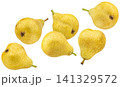 Yellow pears isolated on white background with clipping path 141329572