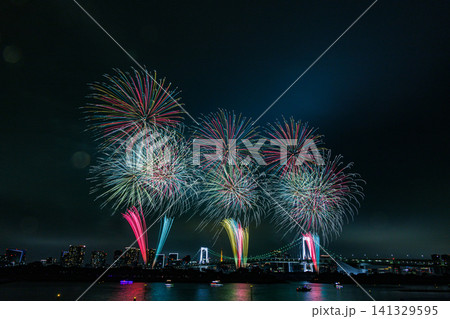 夜空に咲く花火 夜空に咲く花火 141329595