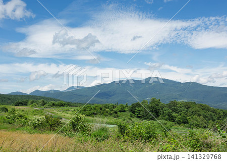 バラギ高原から見る本白根山　群馬県嬬恋村 141329768