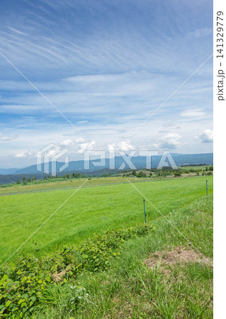 バラギ高原からの眺め 群馬県嬬恋村 バラギ高原からの眺め 群馬県嬬恋村 141329779