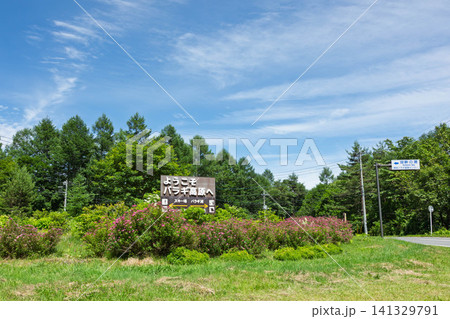 バラギ高原入口 群馬県嬬恋村 バラギ高原入口 群馬県嬬恋村 141329791