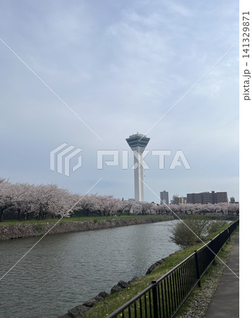 青空にそびえ立つ五稜郭タワーと川沿いの満開の桜の景観 141329871