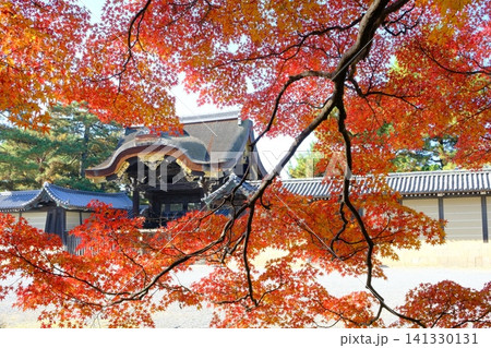 秋の京都御所の建春門 141330131