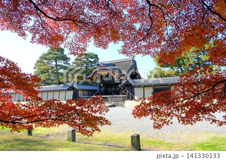 秋の京都御所の建春門 141330133