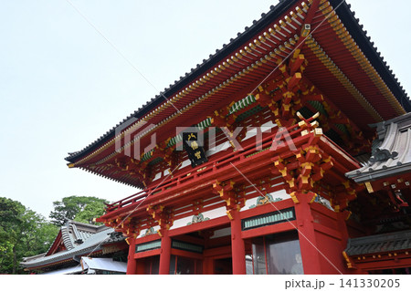 鶴岡八幡宮、本宮、鎌倉 鶴岡八幡宮、本宮、鎌倉 141330205