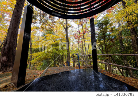 港北ニュータウン・都筑中央公園の紅葉 港北ニュータウン・都筑中央公園の紅葉 141330795