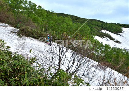 大雪山 赤岳登山道の風景 大雪山 赤岳登山道の風景 141330874