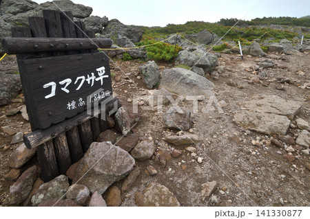 大雪山 赤岳登山道のコマクサ平 大雪山 赤岳登山道のコマクサ平 141330877