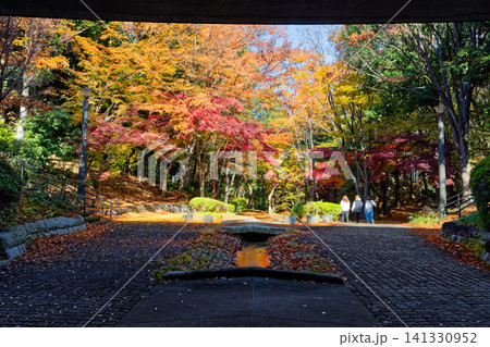横浜・港北ニュータウンの額縁紅葉 141330952