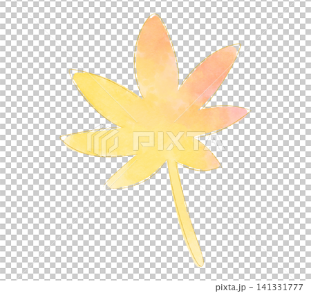 Yellow maple leaves, watercolor style Yellow maple leaves, watercolor style 141331777